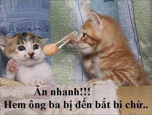 Nuốt hạt mọc cây trên đầu, chuồn chuồn cắn rốn sẽ biết bơi,… loạt hiểu lầm thú vị của trẻ con ngày xưa