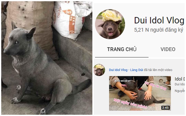 Idol Nguyễn Văn Dúi chuyển hướng sang làm Youtuber, vừa ra video đầu tiên đã bị cộng đồng mạng soi ra chân dung mẹ đẻ "cực ngầu"