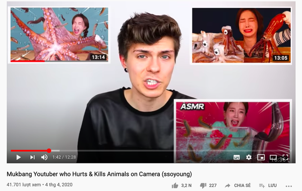 “Thánh ăn Hàn Quốc” Ssoyoung khiến nhiều YouTuber nổi tiếng phẫn nộ vì hành hạ động vật sống, có người còn yêu cầu cô xoá luôn kênh 3,45tr subscribes - Ảnh 9.
