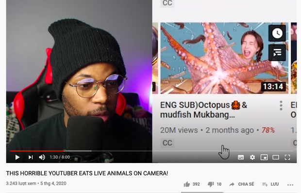 “Thánh ăn Hàn Quốc” Ssoyoung khiến nhiều YouTuber nổi tiếng phẫn nộ vì hành hạ động vật sống, có người còn yêu cầu cô xoá luôn kênh 3,45tr subscribes - Ảnh 11.