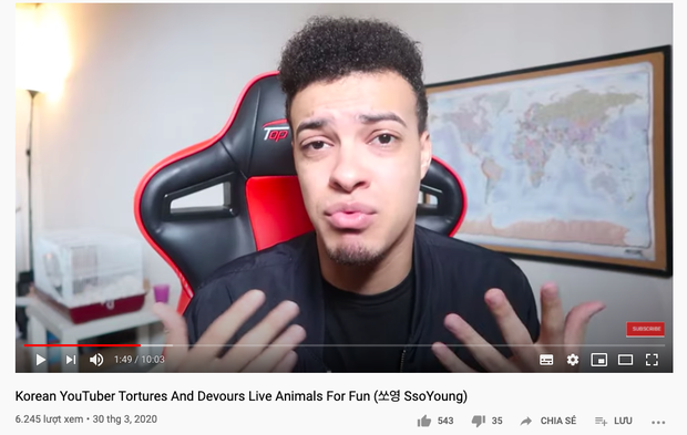 “Thánh ăn Hàn Quốc” Ssoyoung khiến nhiều YouTuber nổi tiếng phẫn nộ vì hành hạ động vật sống, có người còn yêu cầu cô xoá luôn kênh 3,45tr subscribes - Ảnh 12.