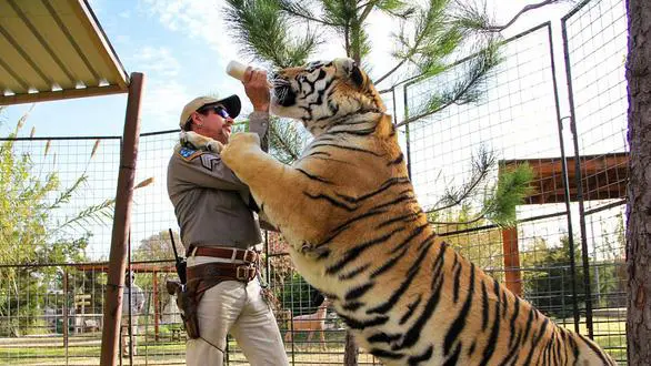Tiger King: Phim sốc tận óc của Netflix về giới buôn bán động vật hoang dã, chẳng có gì ngoài drama và cú lừa! - Ảnh 2.