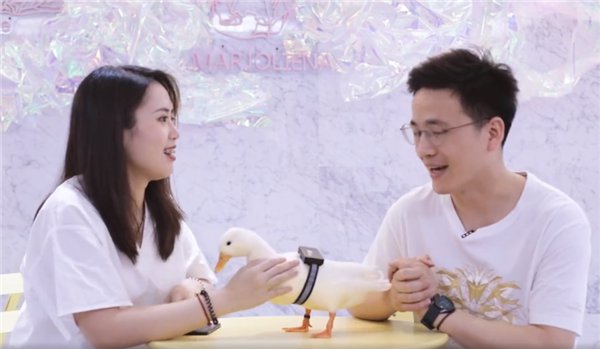 Huawei bất ngờ thông báo đã phát triển thành công “máy dịch ngôn ngữ động vật”