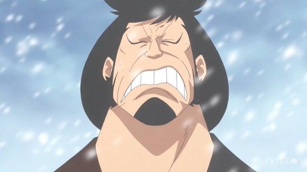 One Piece: Điểm danh các ứng cử viên tiềm năng cho 5 vị trí còn trống trong băng Mũ Rơm - Ảnh 5.