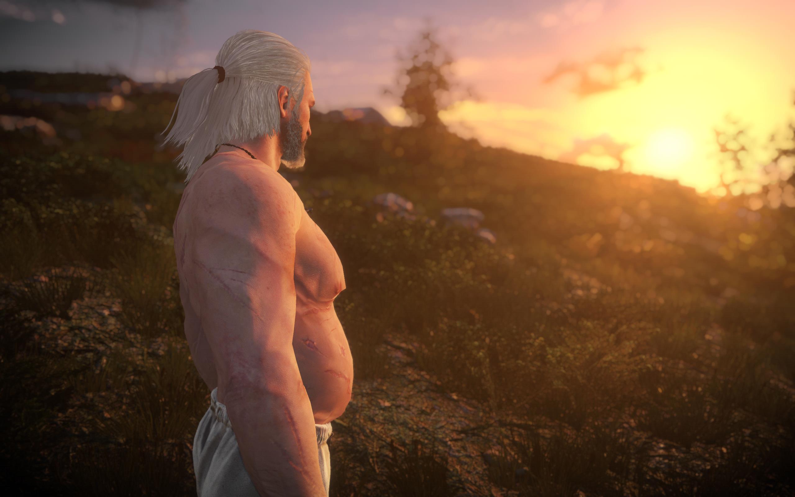 Xuất hiện hình ảnh Geralt &quot;bụng phệ&quot; trong The Witcher 3
