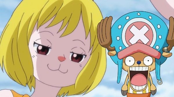 Là linh vật của One Piece và 7 sự thật về bác sĩ dễ thương nhất Tony Tony Chopper - Ảnh 5.