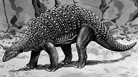 Top 5 điều kỳ thú về khủng long bọc giáp, điều cuối sẽ làm bạn ngạc nhiên đấy - Ảnh 4.