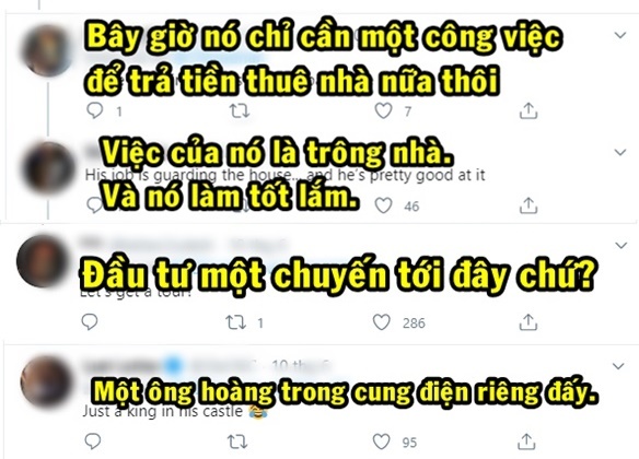 Chú chó số hưởng, được chủ lắp hẳn điều hòa, tản nhiệt khiến cộng đồng mạng ghen tị: Nó còn sướng hơn tao - Ảnh 5.