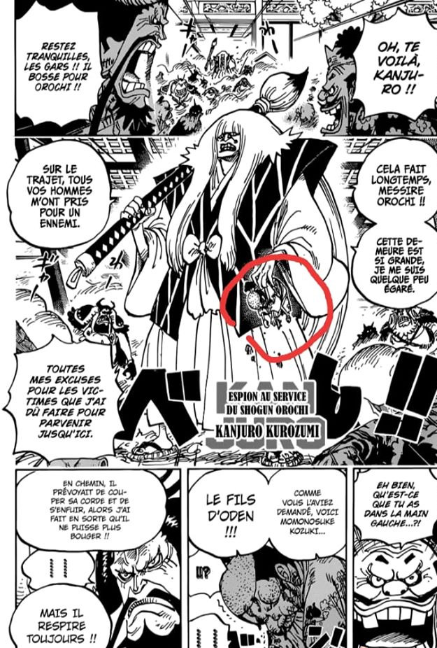 One Piece: Momonosuke bị Kaido bắt giữ làm con tin, Luffy sẽ xử lý tình huống này như thế nào? - Ảnh 1.