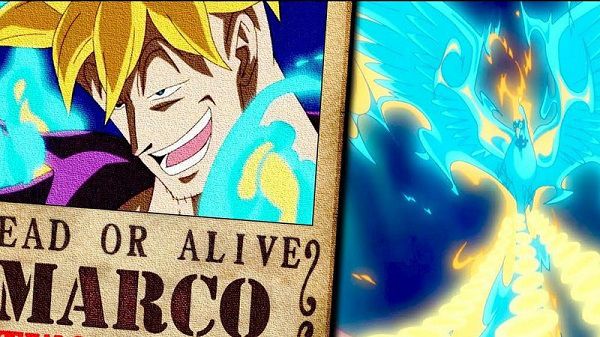 One Piece: Tìm hiểu tất tần tật về Phượng Hoàng Marco, người vừa đến Wano để giúp Luffy đánh bại Kaido - Ảnh 8.