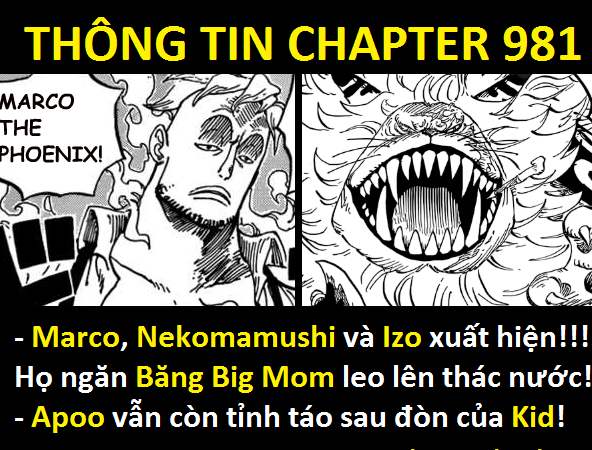 Spoiler One Piece chap 981: Marco xuất hiện chặn đánh băng Big Mom, Chopper chạm mặt Tứ Hoàng - Ảnh 6.