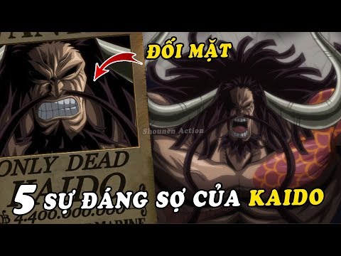 One Piece: Những bằng chứng cho thấy Tứ hoàng Kaido là một trong những thiên tài về quân sự?