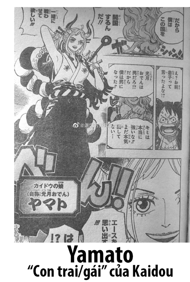 One Piece chapter 984: Yamato được xác nhận là con gái, vì quá hâm mộ Oden nên tự nhận mình là trai - Ảnh 1.