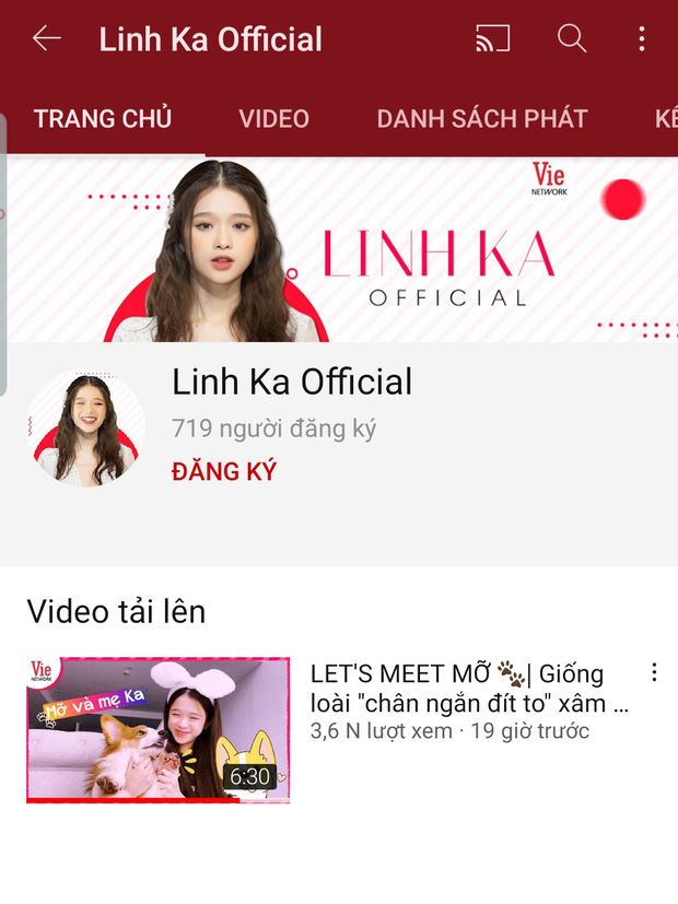 Linh Ka bất ngờ bị bay màu cả kênh Youtube lẫn page gần 2 triệu like, tái xuất với hình ảnh mới ấn tượng - Ảnh 5.