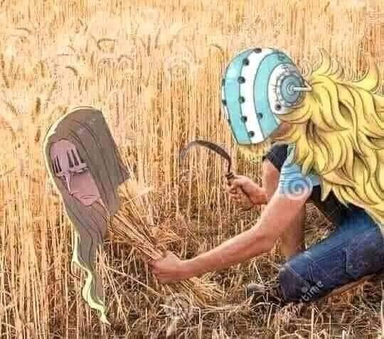 Các fan chào mừng thành viên mới gia nhập &quot;hội khuyết tật One Piece&quot;, tất cả đều là tại Shanks Tóc Đỏ