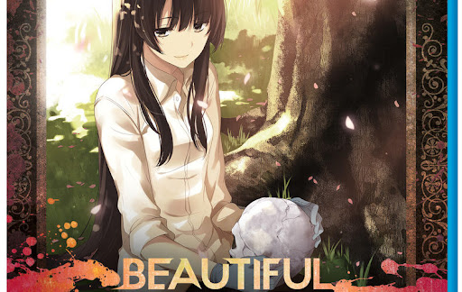 Top 7 anime tuyệt vời từ những năm 2010 mà bạn có thể đã bỏ lỡ, cái tên nào khiến bạn ấn tượng nhất? - Ảnh 6.