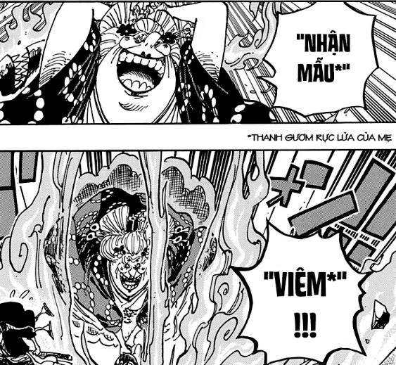 Điểm qua những chi tiết thú vị trong One Piece chap 1003: Luffy tiếp nối nguyện vọng của Ace - Ảnh 5.