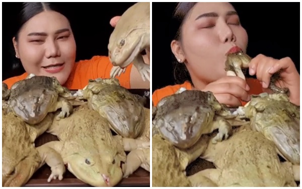 Làm clip ăn Mukbang trên sóng, nữ streamer khiến người xem khiếp sợ, chuyển kênh khi ăn ếch luộc nguyên con - Ảnh 3.