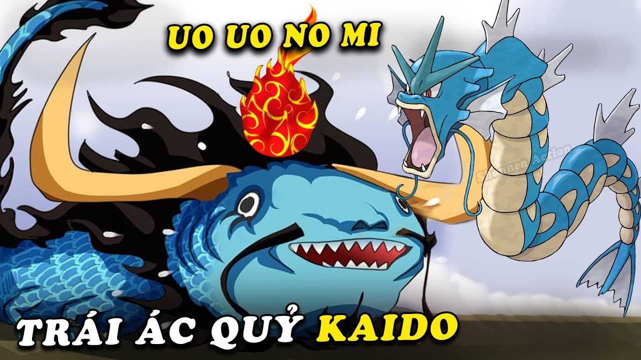 One Piece: Đây là 5 trái ác quỷ được Oda &quot;lựa chọn&quot; cho đội biết bơi của băng Mũ Rơm, Zoro ăn trái của Kaido