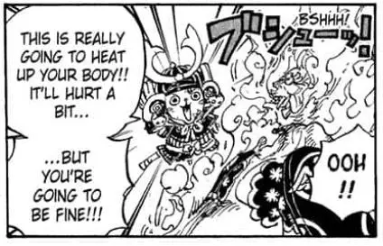 Soi One Piece chap 1007: Chopper chứng tỏ bản lĩnh chủ tịch trái ngược với sự lạnh lùng, tàn nhẫn của Queen - Ảnh 10.