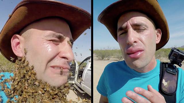 Làm thử thách để 3.000 con ong quây kín mặt, rồi thử &quot;nọc độc&quot; của ong bắp cày, nam YouTuber nhận cái kết đắng ngắt
