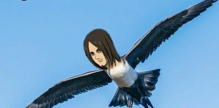 Các fan Attack On Titan cho rằng &quot;Mikasa bên cạnh con chim lớn chỉ khiến cô thêm nhớ Eren mà thôi&quot;