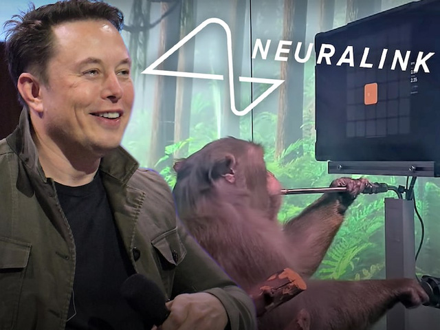 Elon Musk gây sốc, tiết lộ ý định bê nguyên Công viên Khủng Long từ phim ra đời thật - Ảnh 4.