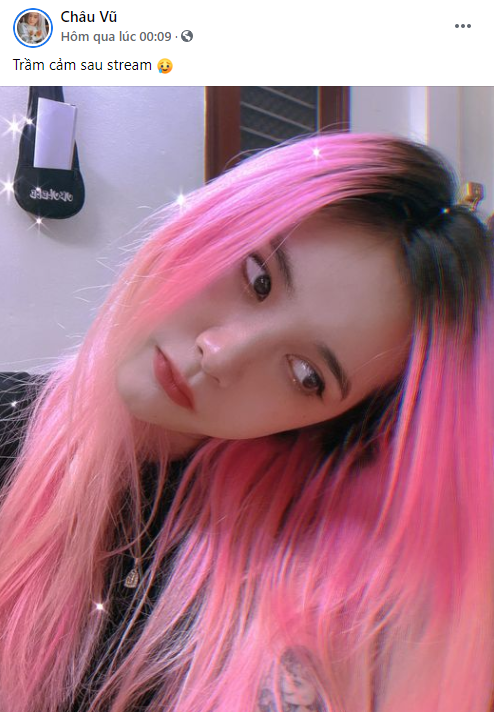Nữ streamer bị “ném đá” tới tấp, liên tục xin lỗi, rơi vào trạng thái trầm cảm vì tỏ tình sai người - Ảnh 4.