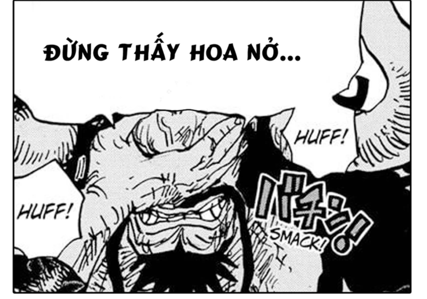 One Piece: Kaido và bài học dành cho Luffy &quot;đừng thấy hoa nở mà ngỡ xuân về&quot;