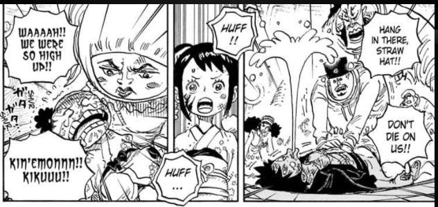 Soi những chi tiết thú vị trong One Piece chap 1017: Queen đã từng là một trong những nhà khoa học nghiên cứu Kaido? (P.1) - Ảnh 7.