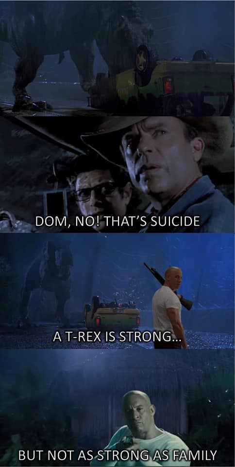 Fast & Furious 9: MXH bùng nổ ảnh chế của gia đình Dom, màn kết hợp sức mạnh ảo diệu mang tầm cỡ vũ trụ - Ảnh 4.