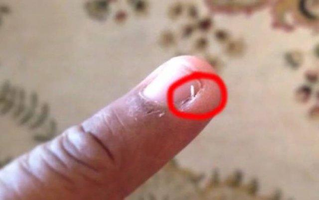  Những bức ảnh khó chịu khiến ai kĩ tính cảm thấy ngứa mắt không chịu nổi - Ảnh 9.