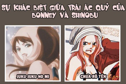 One Piece: Tìm hiểu sức mạnh về 2 trái ác quỷ &quot;lão hóa&quot; mà Shinobu và Bonney đang sở hữu