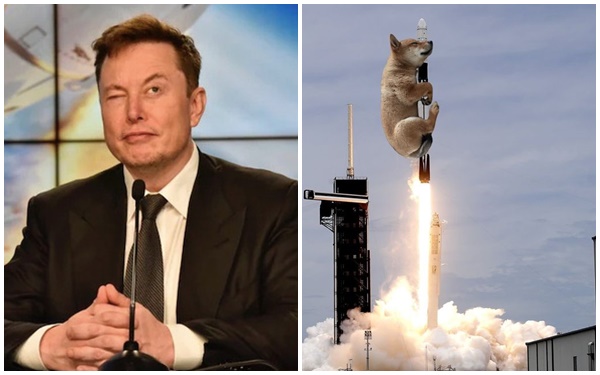 Elon Musk lại &quot;làm phép&quot; trên trang cá nhân, một đồng coin tăng giá tới hơn 1.000% chỉ trong ít giờ