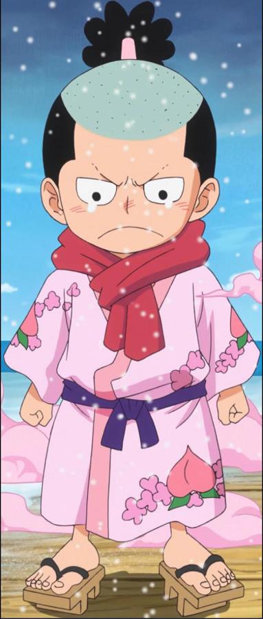 Giả thuyết One Piece: Hiyori chính là “chim trĩ” trong cậu bé quả đào thay vì Marco như chúng ta vẫn nghĩ? (P.2) - Ảnh 2.