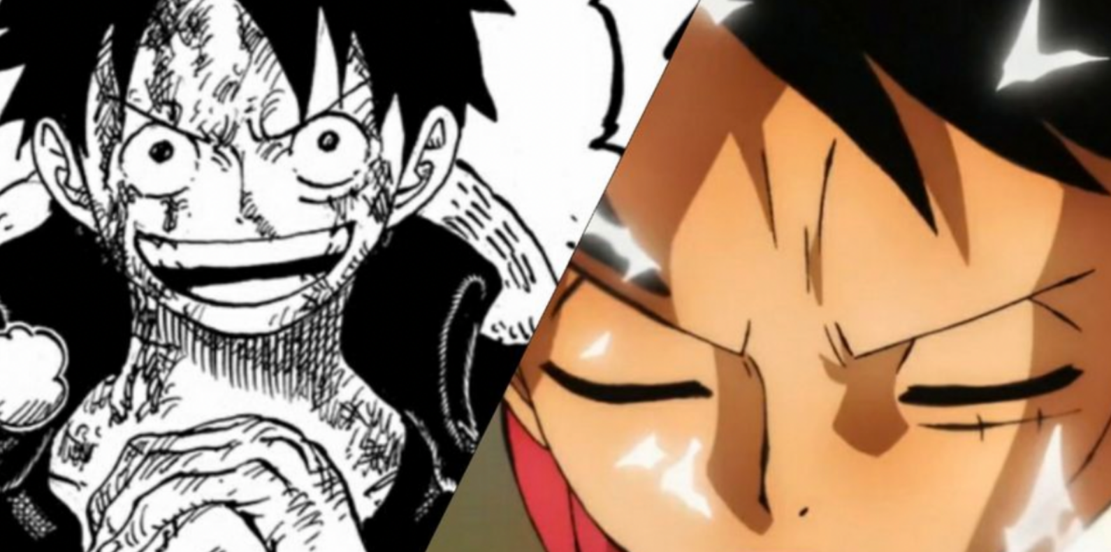 One Piece: Nếu không có sức mạnh Haki thì đây là 10 thay đổi khiến bộ truyện trở nên &quot;khác biệt&quot; (P.2)