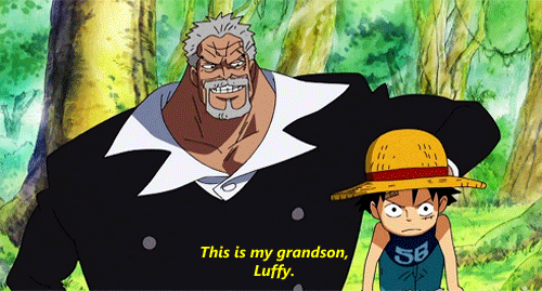 One Piece: Những &quot;di sản&quot; mà Garp đã truyền lại cho Luffy, chuẩn &quot;con nhà tông không giống lông cũng giống cánh&quot;