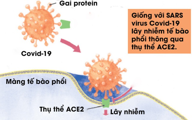 Bên trong cuộc đua điều chế vắc-xin cho Covid-19: Những công nghệ mới, quy trình mới và kỷ lục mới - Ảnh 6.