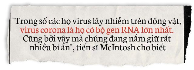 Lịch sử bí ẩn của họ virus corona: Từ cơn cảm lạnh thông thường đến những đại dịch toàn cầu - Ảnh 9.