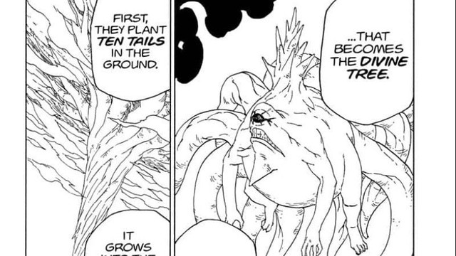 Naruto: Thập Vĩ là hạt giống của Thánh thụ nên trước khi Kaguya tới Trái Đất, cây thần đã được trồng từ lâu - Ảnh 1.