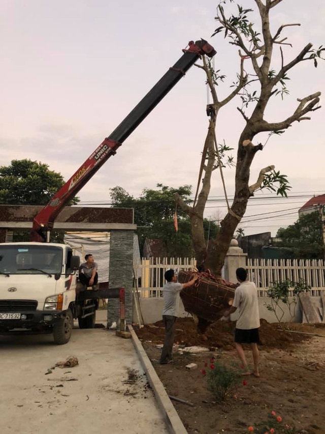 Nổi tiếng, không phải ruột thịt và khối tài sản khiến nhiều người ngưỡng mộ của anh em Tam Mao - Ảnh 6.