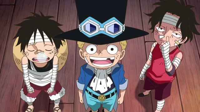 One Piece: 9 sự thật về Sabo, người thừa kế năng lực lửa của trái Mera Mera no Mi - Ảnh 3.