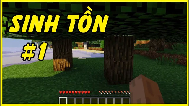 Minecraft -  Từ khối hộp trở thành hiện tượng toàn cầu, qua chục năm vẫn chưa hạ nhiệt - Ảnh 3.