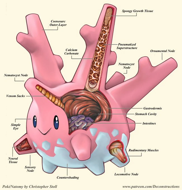 Bộ tranh giải phẫu Pokemon độc nhất vô nhị khiến các fan ruột trầm trồ vì quá đỉnh - Ảnh 14.