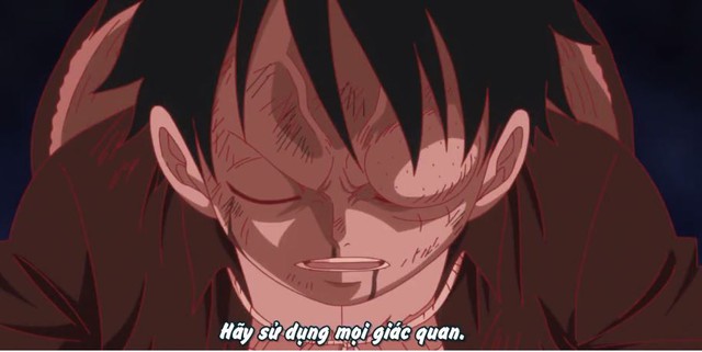 One Piece 980: Vì sao Luffy và Zoro gặp khó trước đòn tấn công của Apoo, liệu Oda có dìm con cưng quá đáng? - Ảnh 4.