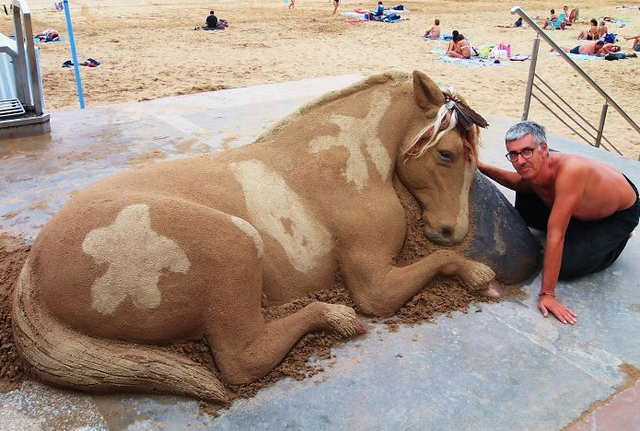 Đưa dàn thú cưng ra bãi biển tắm nắng, nghệ sĩ tài hoa khiến dân tình trầm trồ - Ảnh 4.