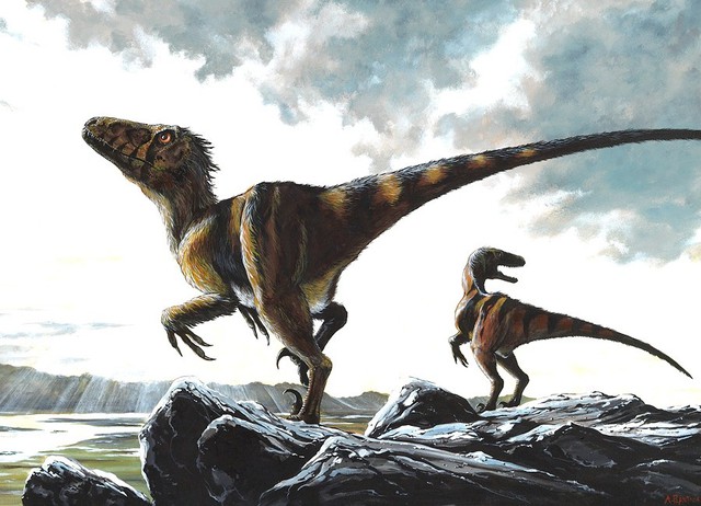 Tìm hiểu về Deinonychus: Loài khủng long sở hữu cú đá chết người - Ảnh 6.