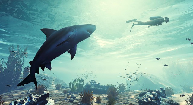 Xuất hiện tựa game giả lập cá mập đi tấn công mọi thứ, thậm chí cả cắn cáp quang  - Ảnh 2.