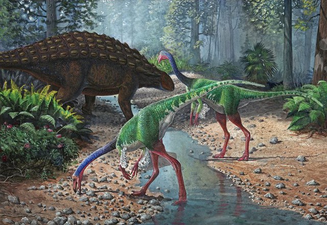 Top 10 điều có thể bạn chưa biết về khủng long, bạn đã biết được bao nhiêu? (P.1) - Ảnh 2.