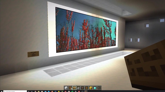 Nhiếp ảnh gia tạo phòng triển lãm ảo trong Minecraft để gây quỹ từ thiện - Ảnh 4.